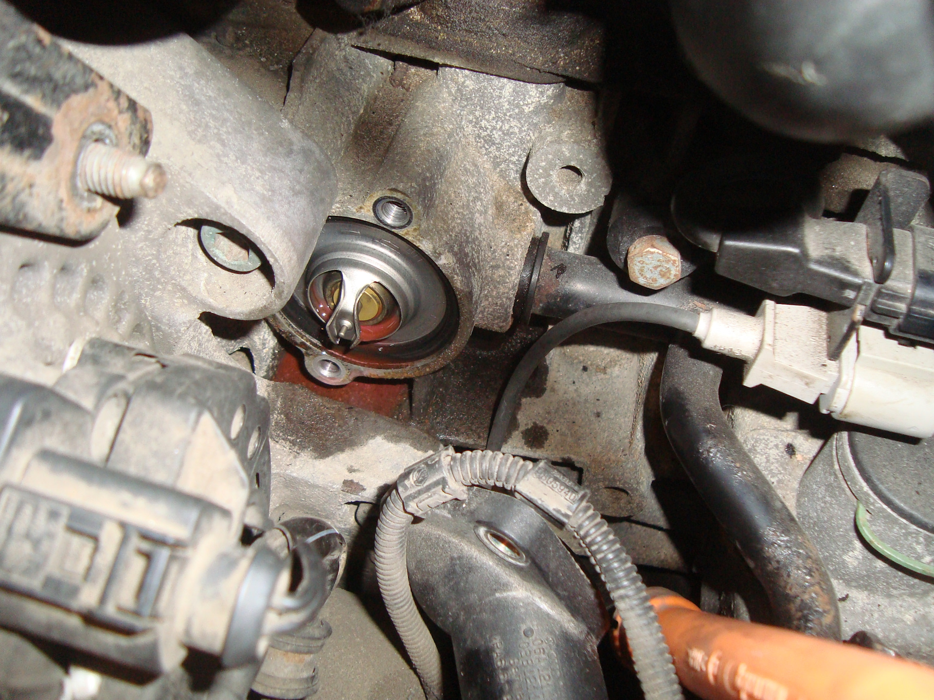 Фото 147 — Замена термостата Volkswagen Tiguan